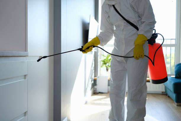 Best Toxic Mold Removal  in Danvle, IL
