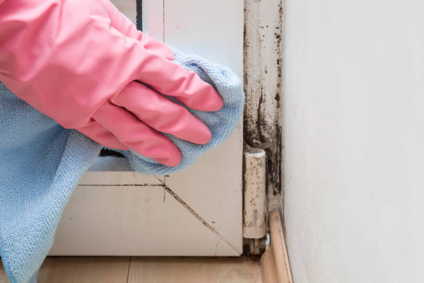 Water Damage Restoration in Danville, IL
